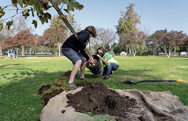 Sustainable Claremont ‘branches out’ to plant trees in Pomona