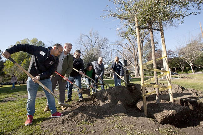 City marks anniversary of storm with tree planting