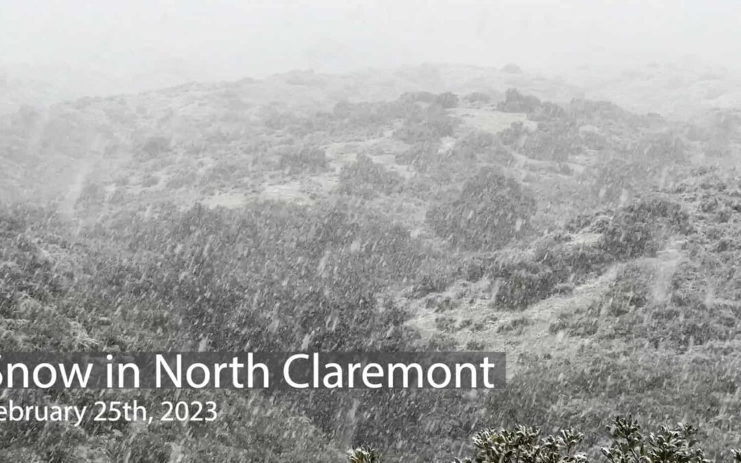 Snow in North Claremont