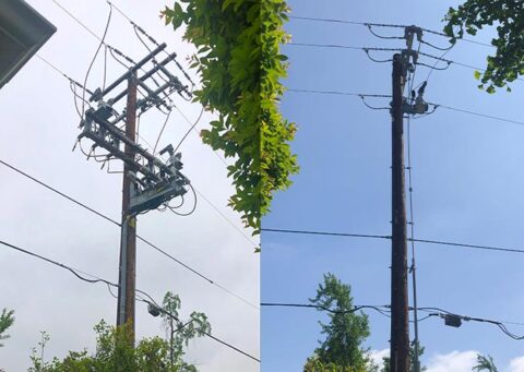 Happy ending for homeowner in SCE utility pole flap | Claremont COURIER