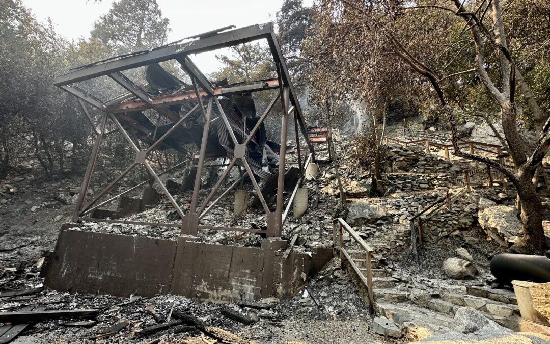 Most of Baldy Village saved from Bridge Fire