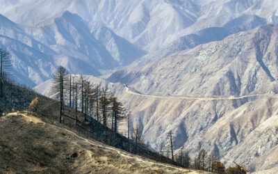 Bridge Fire road, trail closures remain in effect