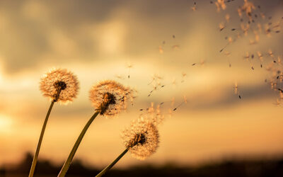 Interfaithfully: Hearing the gentle whisper – Viewpoint