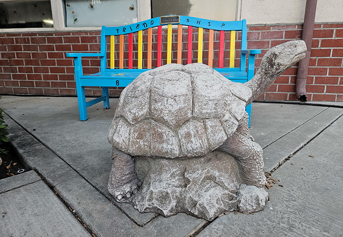 Where-am-I-10-10-25-WEB