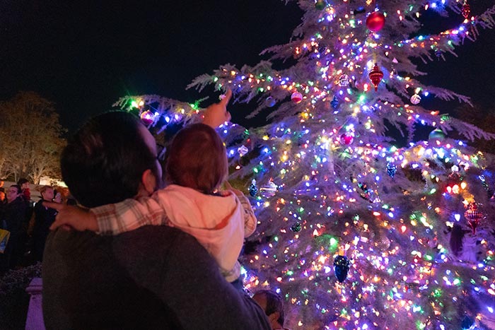 Holiday Promenade.WEB