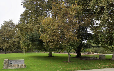 Viewpoint: El Barrio art project headed in wrong direction