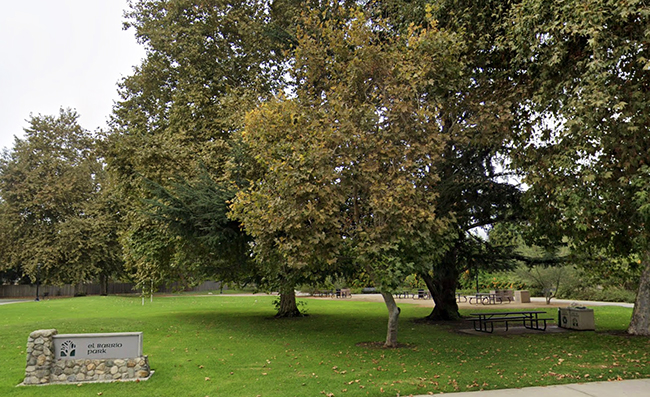 Viewpoint: El Barrio art project headed in wrong direction