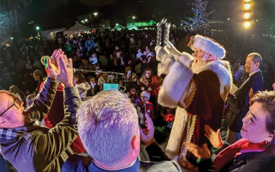 City tree lighting kicks off holiday season