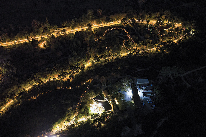 pw.Luminaria-lights2-WEB-NEW