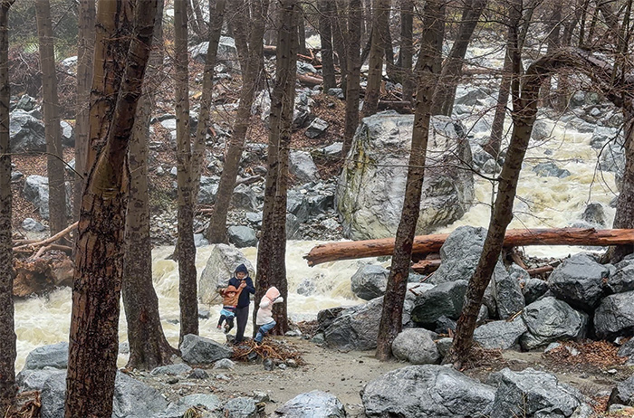 pw.Baldy-flooding5-WEB