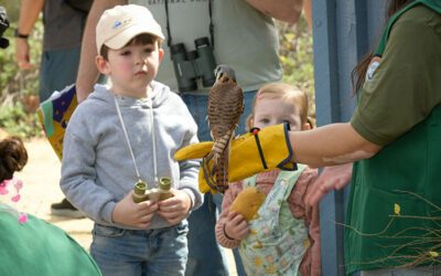 CalBG bird festival returns next weekend