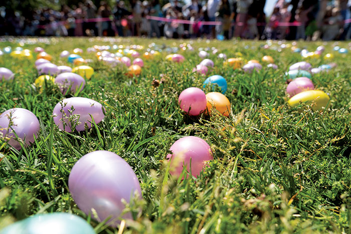 2026-egg-hunts.WEB