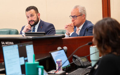 Council approves study on sales tax increase measure