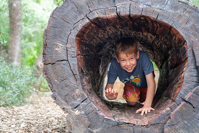 aa.CalBG_Woodland-3.WEB